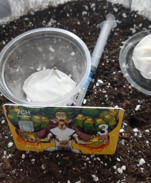 20230413_141739.jpg 20230413_141739.jpg