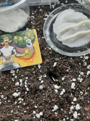 20230413_141707.jpg 20230413_141707.jpg