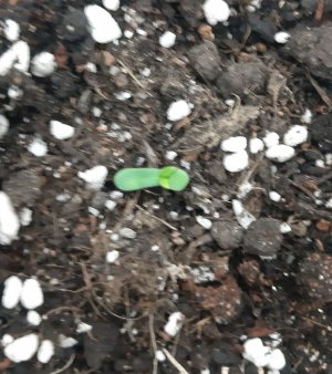 20230413_191443.jpg 20230413_191443.jpg