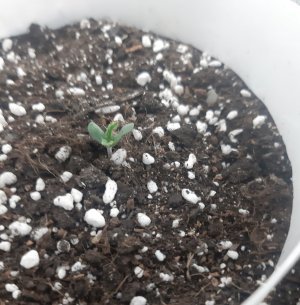 20230414_105041.jpg 20230414_105041.jpg