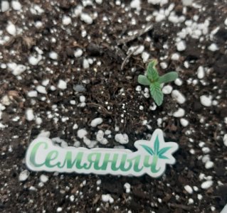 20230414_110245.jpg 20230414_110245.jpg