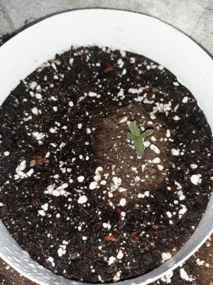 20230414_110809.jpg 20230414_110809.jpg