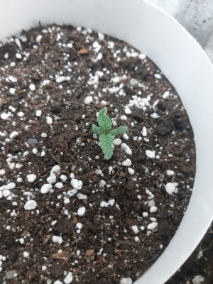 20230414_180601.jpg 20230414_180601.jpg