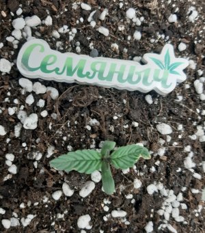 20230414_182403.jpg 20230414_182403.jpg