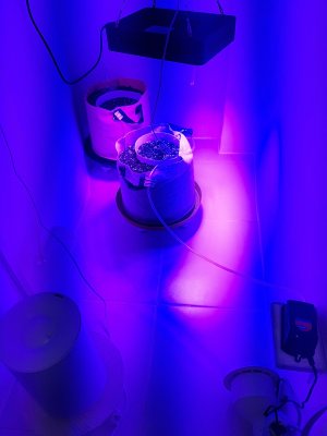 20230414_191821.jpg 20230414_191821.jpg