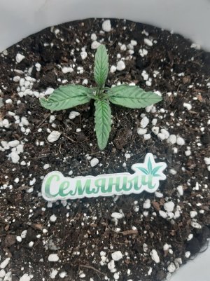 20230415_105121.jpg 20230415_105121.jpg