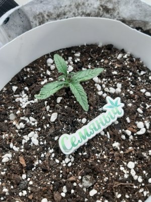 20230415_110710.jpg 20230415_110710.jpg