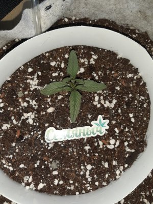 20230415_110605.jpg 20230415_110605.jpg