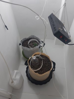 20230415_164913.jpg 20230415_164913.jpg