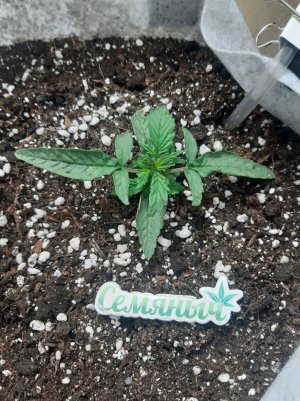 20230415_164840.jpg 20230415_164840.jpg