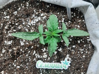 20230415_171106.jpg 20230415_171106.jpg