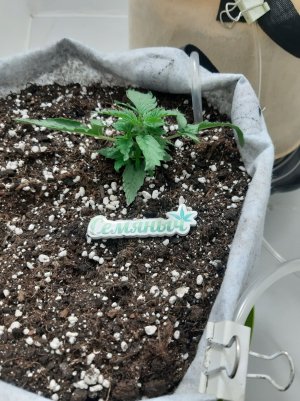 20230415_170931.jpg 20230415_170931.jpg