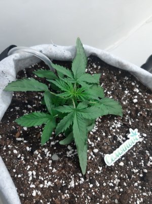 20230416_080702.jpg 20230416_080702.jpg