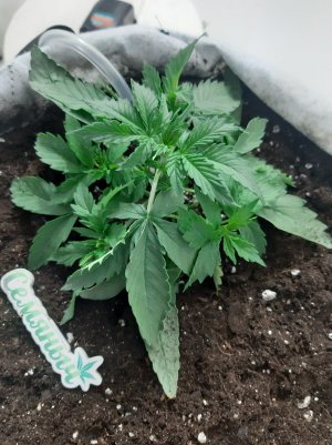 20230416_081839.jpg 20230416_081839.jpg