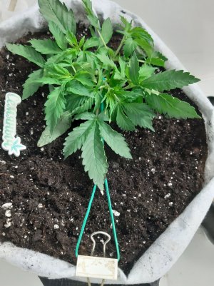 20230416_160324.jpg 20230416_160324.jpg