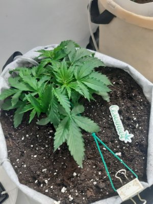 20230416_162550.jpg 20230416_162550.jpg