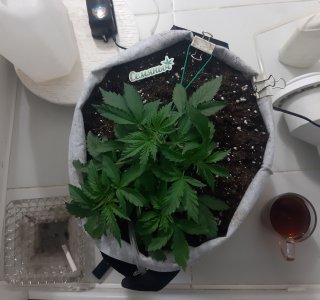 20230416_165542.jpg 20230416_165542.jpg