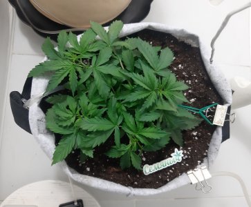 20230416_172108.jpg 20230416_172108.jpg