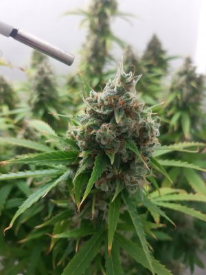 20230416_204244.jpg 20230416_204244.jpg