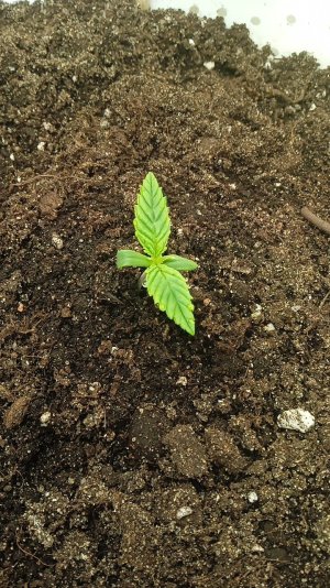 1635414400687..jpg 1635414400687..jpg