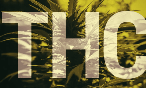 1636483341732.png 1636483341732.png