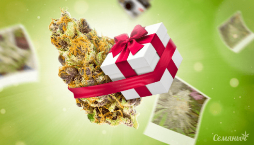 1636792438188.png 1636792438188.png