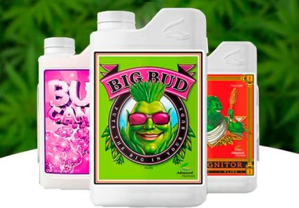 Стимуляторы цветения для конопли Стимуляторы цветения для конопли