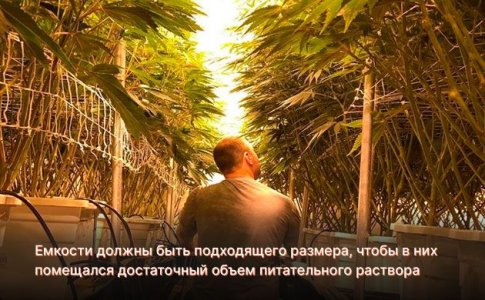 Емкость для гидропонного раствора