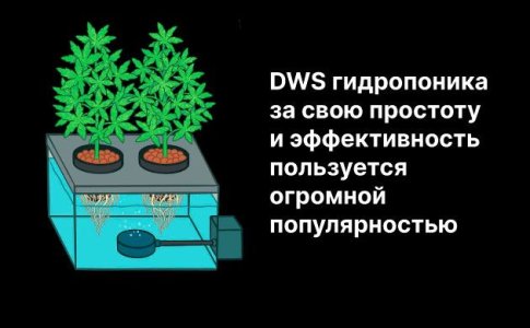 Циркуляционное оборудование для гидропоники