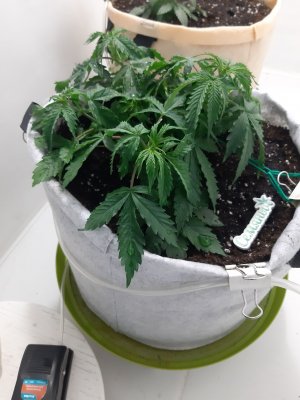 20230417_113840.jpg 20230417_113840.jpg