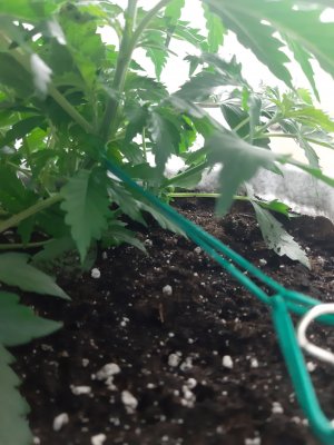 20230417_123331.jpg 20230417_123331.jpg