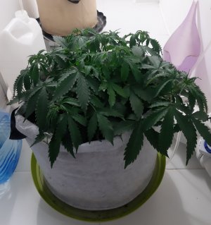 20230417_183753.jpg 20230417_183753.jpg