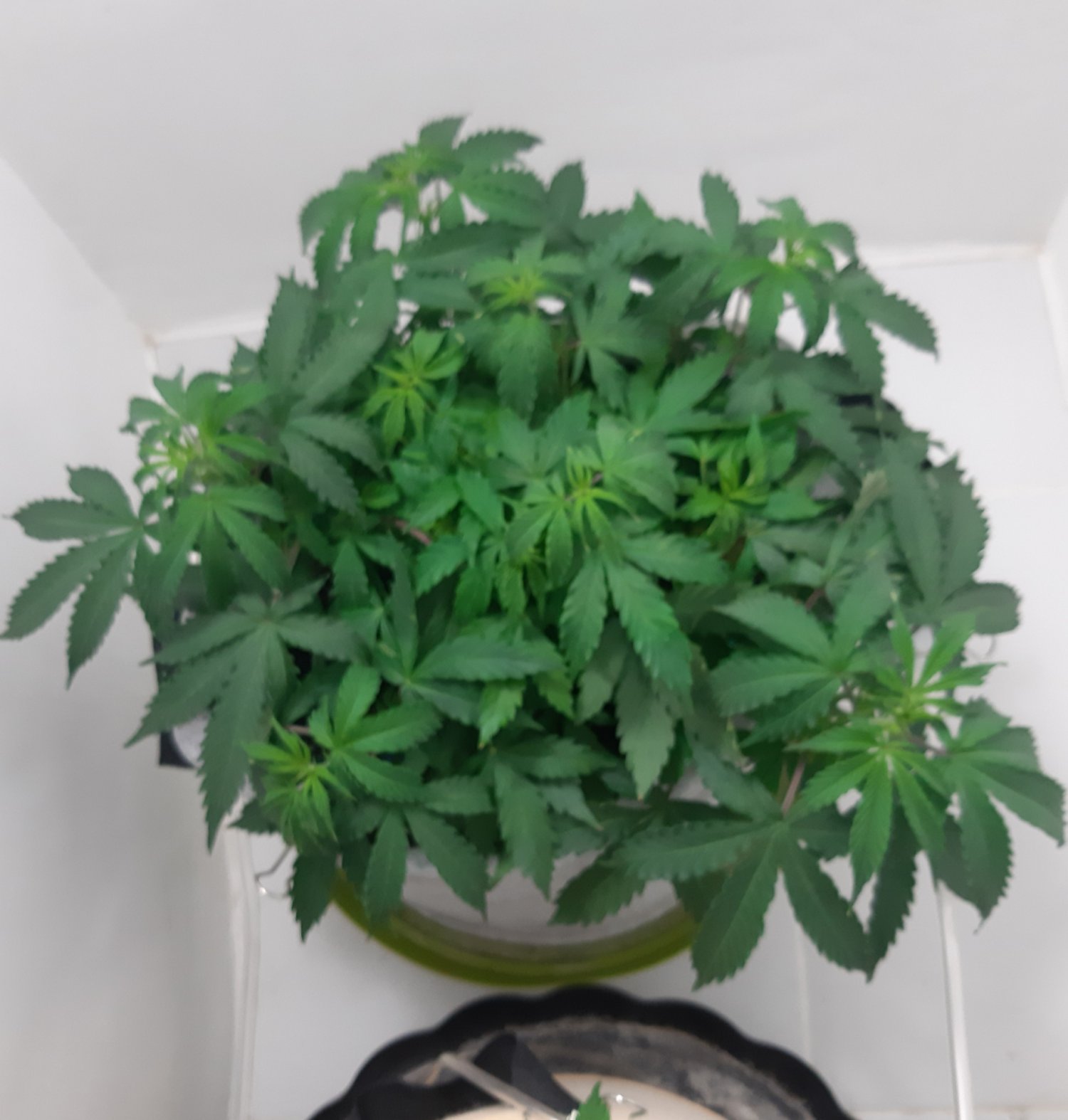 20230417_193307.jpg 20230417_193307.jpg