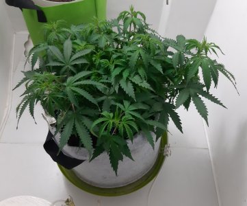 20230417_220235.jpg 20230417_220235.jpg