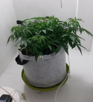 20230417_220359.jpg 20230417_220359.jpg