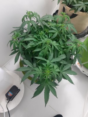 20230417_222000.jpg 20230417_222000.jpg