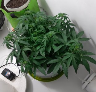 20230417_223118.jpg 20230417_223118.jpg