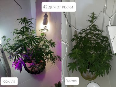 20220507_153433.jpg 20220507_153433.jpg