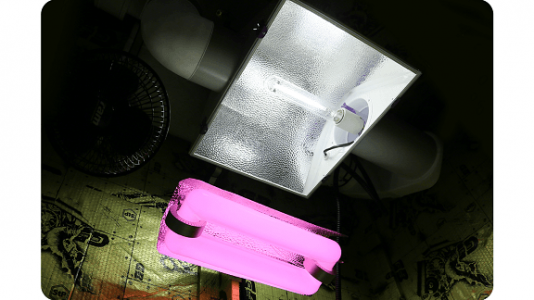 Sultan Sun Light.png