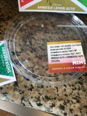 3DE57558-C5E5-433D-89DB-E39738A0AF90.jpeg 3DE57558-C5E5-433D-89DB-E39738A0AF90.jpeg