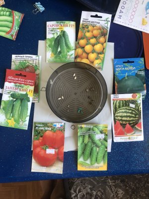 21F201A7-AA16-4E5D-860D-72F2DA28E13E.jpeg 21F201A7-AA16-4E5D-860D-72F2DA28E13E.jpeg