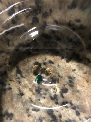 941F0D8E-7604-4382-8FF6-6E48CA0A2167.jpeg 941F0D8E-7604-4382-8FF6-6E48CA0A2167.jpeg