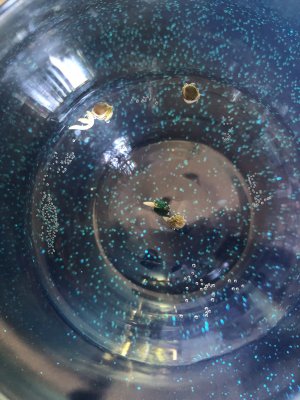 4818D715-04E3-4ED8-8E6E-4756EED85357.jpeg 4818D715-04E3-4ED8-8E6E-4756EED85357.jpeg