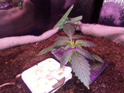 IMG_20230425_113849.jpg IMG_20230425_113849.jpg