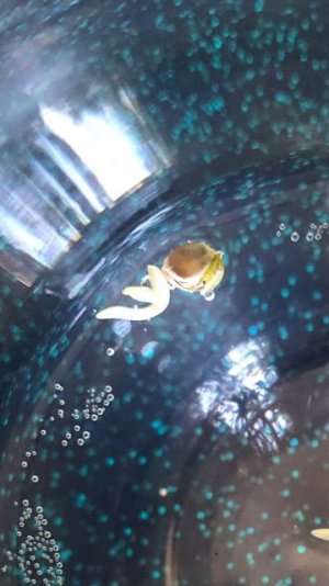 D5852553-7086-4F27-918F-931AFC5C75EC.jpeg D5852553-7086-4F27-918F-931AFC5C75EC.jpeg