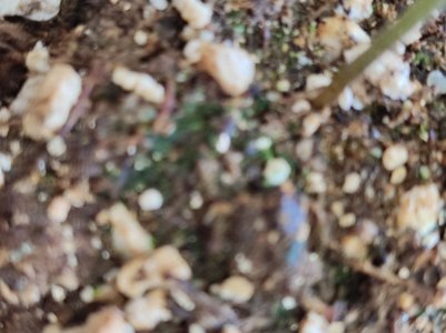 IMG_20230427_145834.jpg IMG_20230427_145834.jpg