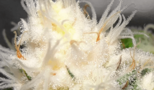 1682966501221.png 1682966501221.png