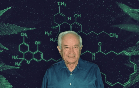 1683210176091.png 1683210176091.png