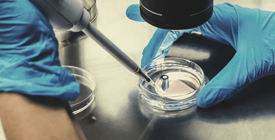 1683210323460.png 1683210323460.png