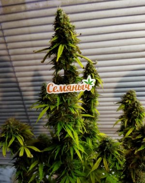 Screenshot_2023-05-04-22-52-26-692_com.miui.gallery-edit.jpg Screenshot_2023-05-04-22-52-26-692_com.miui.gallery-edit.jpg